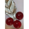 Feuille de Houx Transparente + 3 Demies Boules Rouges