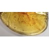 Galette-Jaune