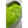 Coeur-Vert Pistache