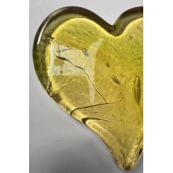 Grand Coeur-Jaune