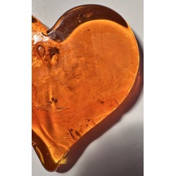 Grand Coeur-Orange