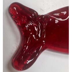 Poisson - Rouge à Trou