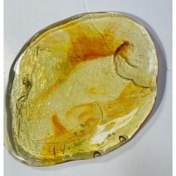 Galette-Jaune