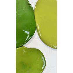 Lot de Galettes Vertes Herbes