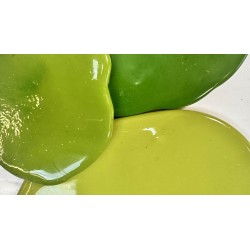 Lot de Galettes Vertes Herbes