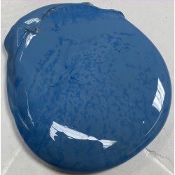 Lot de Galettes Bleues