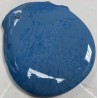 Lot de Galettes Bleues