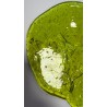 Galette-Vert Pistache