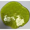 Galette-Vert Pistache